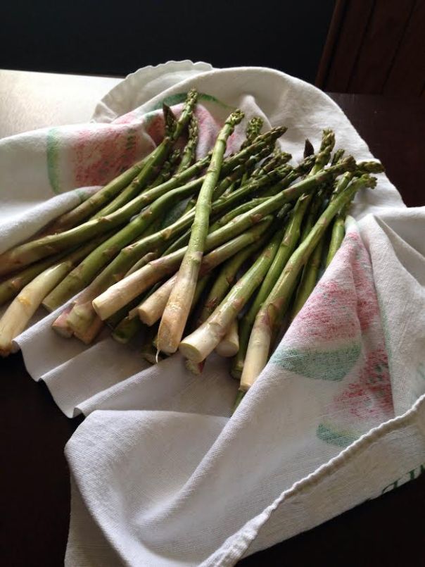asparagus1