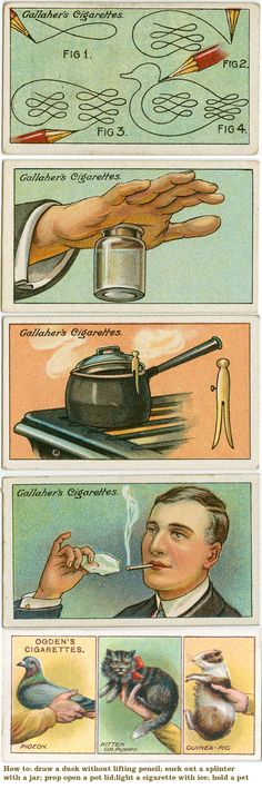 cigarettecards