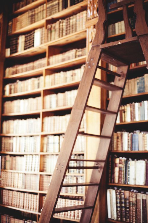 library with ladder