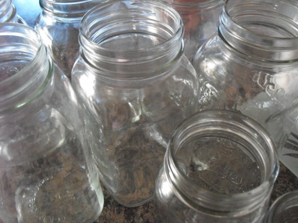 glass jars