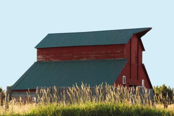 barn-roof